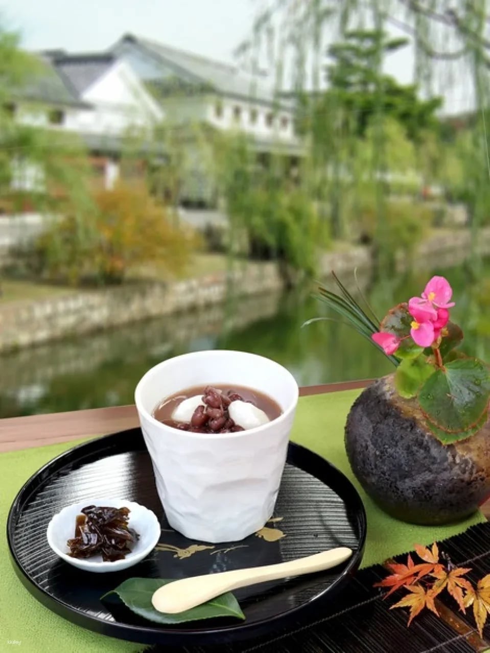 Okayama, Japan | Kurashiki Bikan Area Roaming Discount Coupon