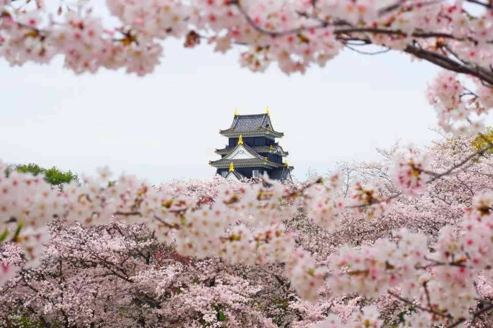 Okayama, Japan | Okayama Castle Keep Electronic Ticket