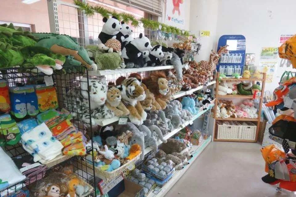 Okinawa Children's Kingdom Tickets
