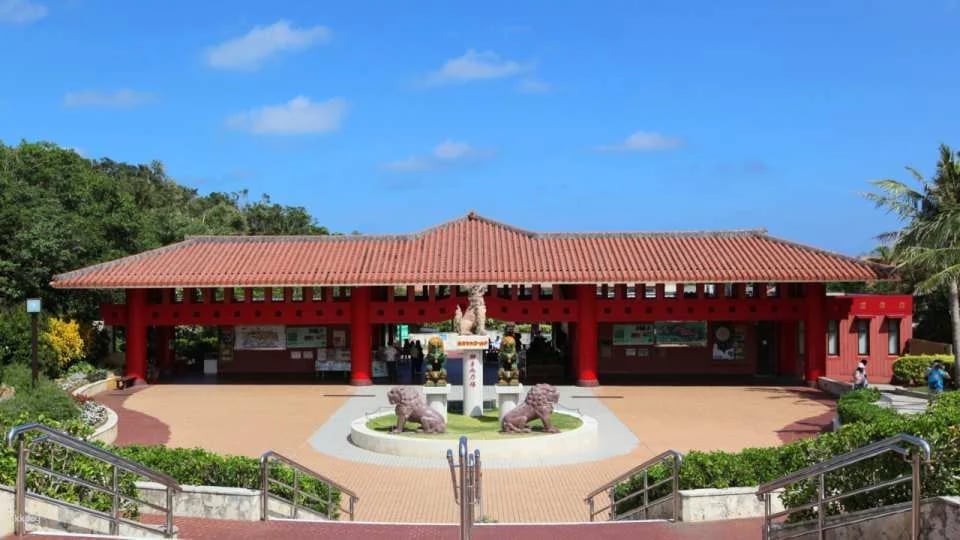 Okinawa Cultural Kingdom Ticket|Gyokusendo・Kingdomura・Venomous Snake Museum Park