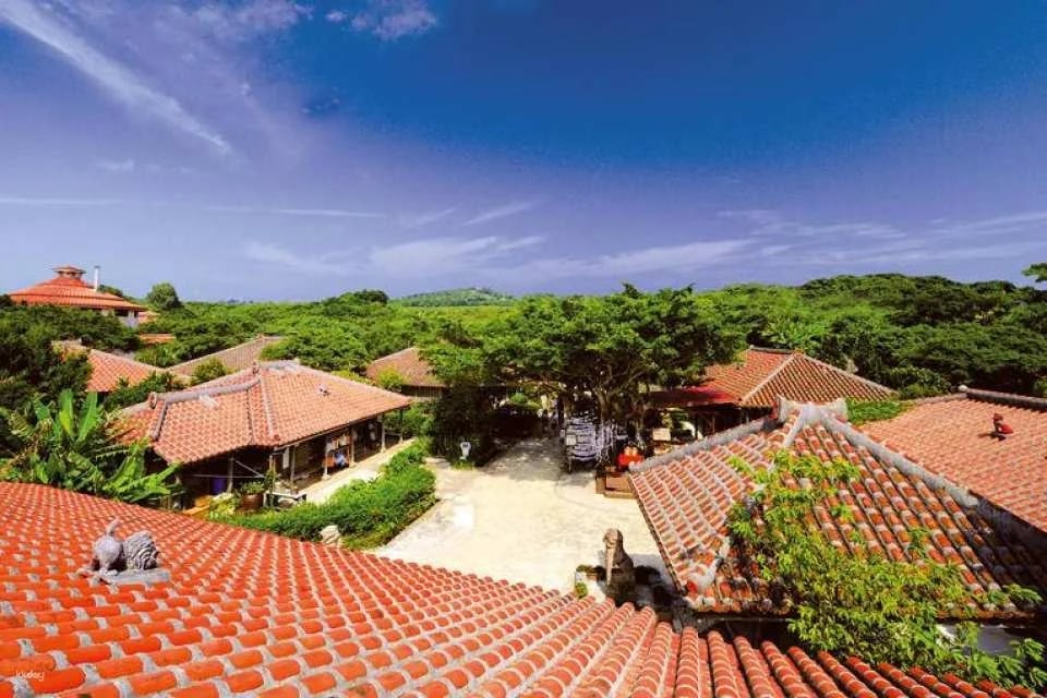 Okinawa Cultural Kingdom Ticket|Gyokusendo・Kingdomura・Venomous Snake Museum Park