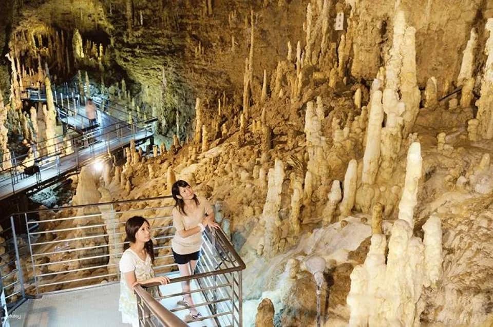 Okinawa Cultural Kingdom Ticket｜Gyokusendo・Kingdomura・Venomous Snake Museum Park