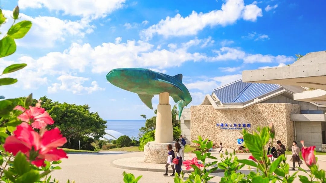 Okinawa Hip Hop Bus Tour with Churaumi Aquarium, Glass Boat Ride & American Village