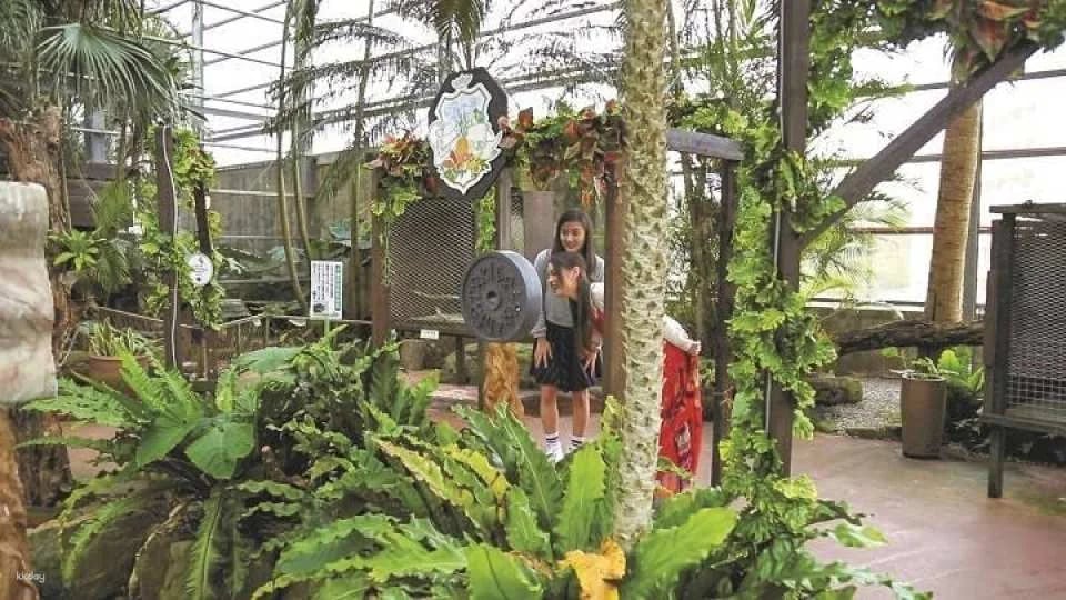 Okinawa Tropical Kingdom Story Fruit Paradise Admission Ticket + Mini Mango Shaved Ice Combo Ticket
