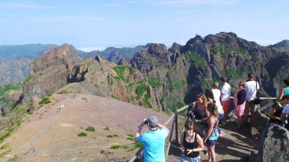 Open roof 4x4 Arieiro Peak and Cristo Rei tour with dolphin watching