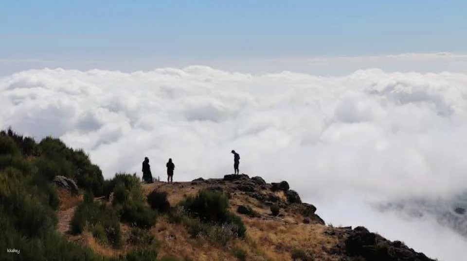 Open roof 4x4 Arieiro Peak and Cristo Rei tour with dolphin watching