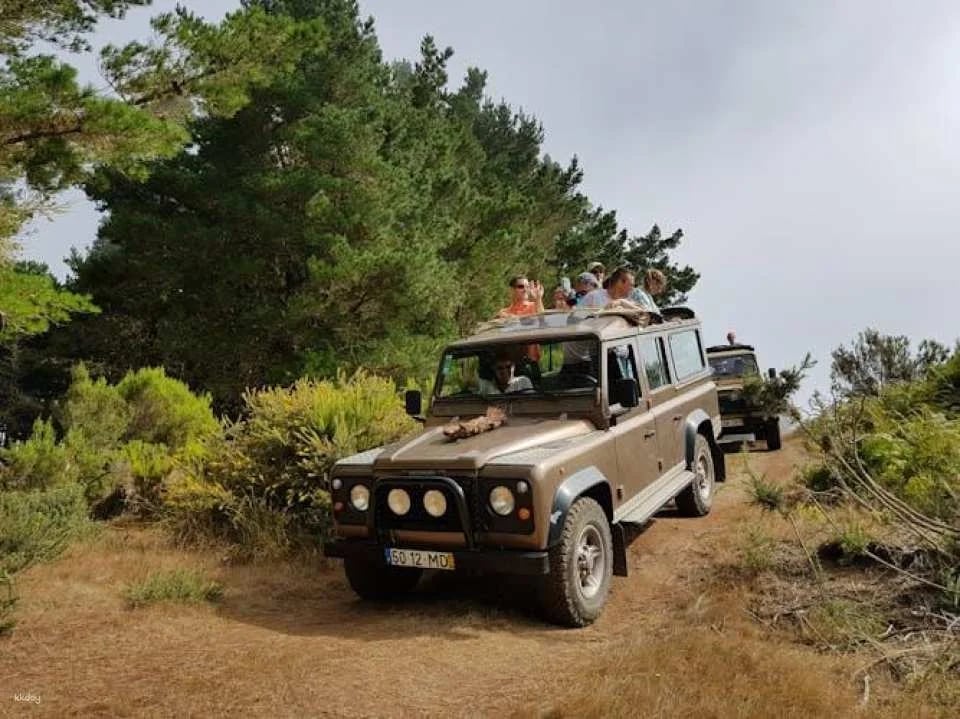 Open roof 4x4 Arieiro Peak and Cristo Rei tour with dolphin watching