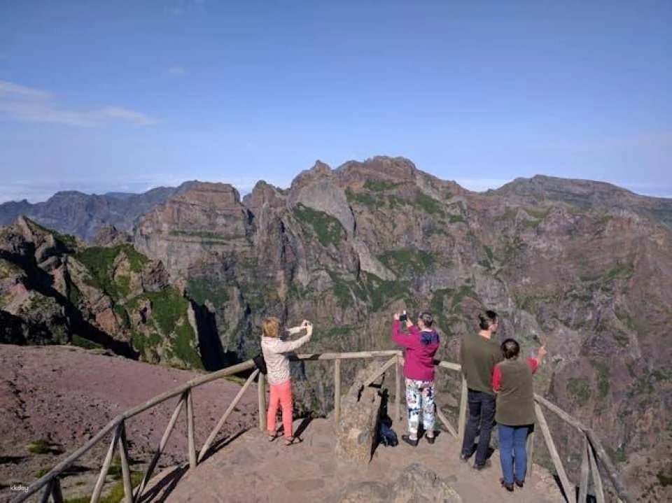 Open roof 4x4 Arieiro Peak and Cristo Rei tour with dolphin watching