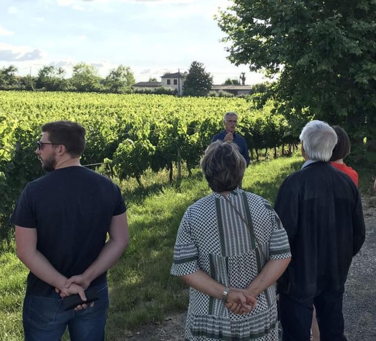 Bordeaux: Explore an Organic Family Vineyard with Tasting
