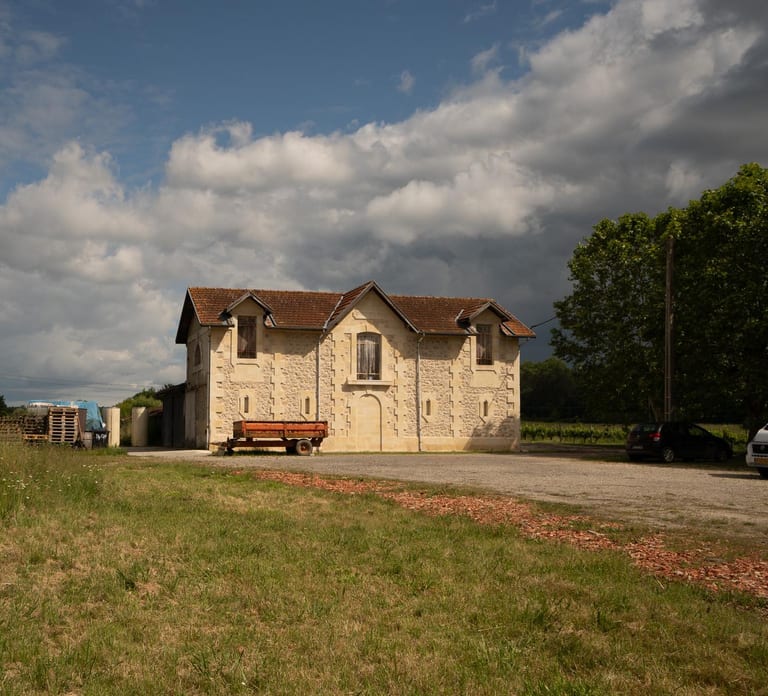 Bordeaux: Explore an Organic Family Vineyard with Tasting