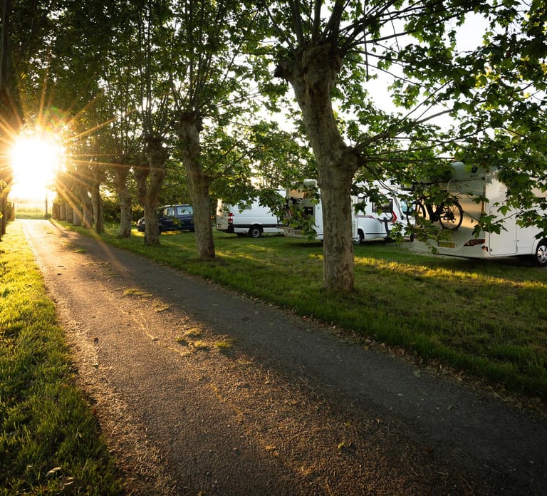 Bordeaux: Explore an Organic Family Vineyard with Tasting