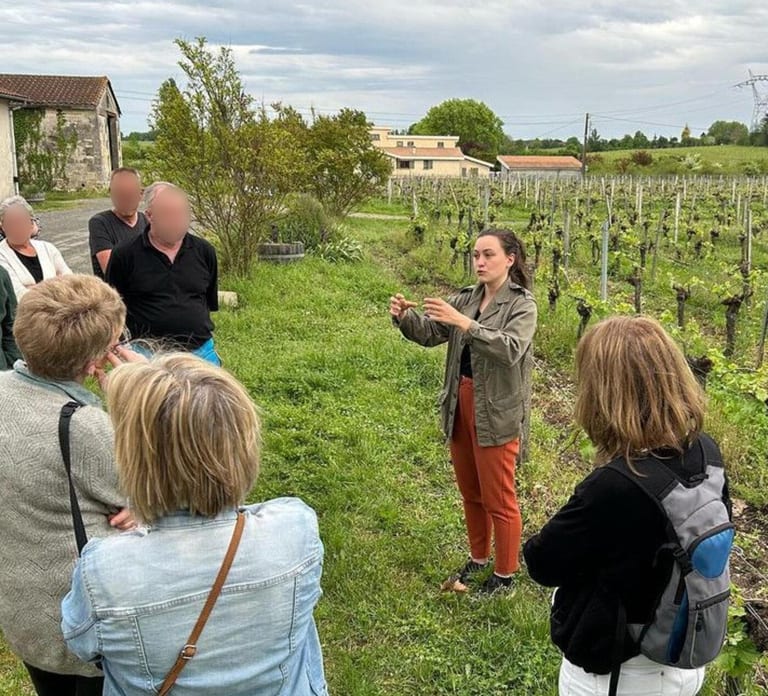 Bordeaux: Explore an Organic Family Vineyard with Tasting