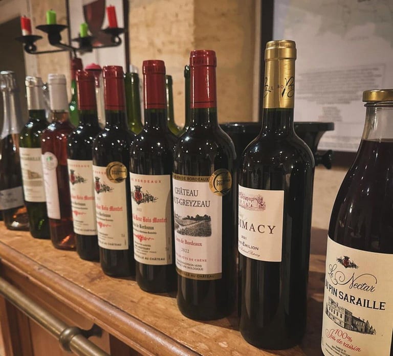 Bordeaux: Explore an Organic Family Vineyard with Tasting