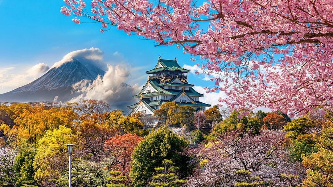 Osaka Castle surrounded by cherry blossoms with a mountain in the background.