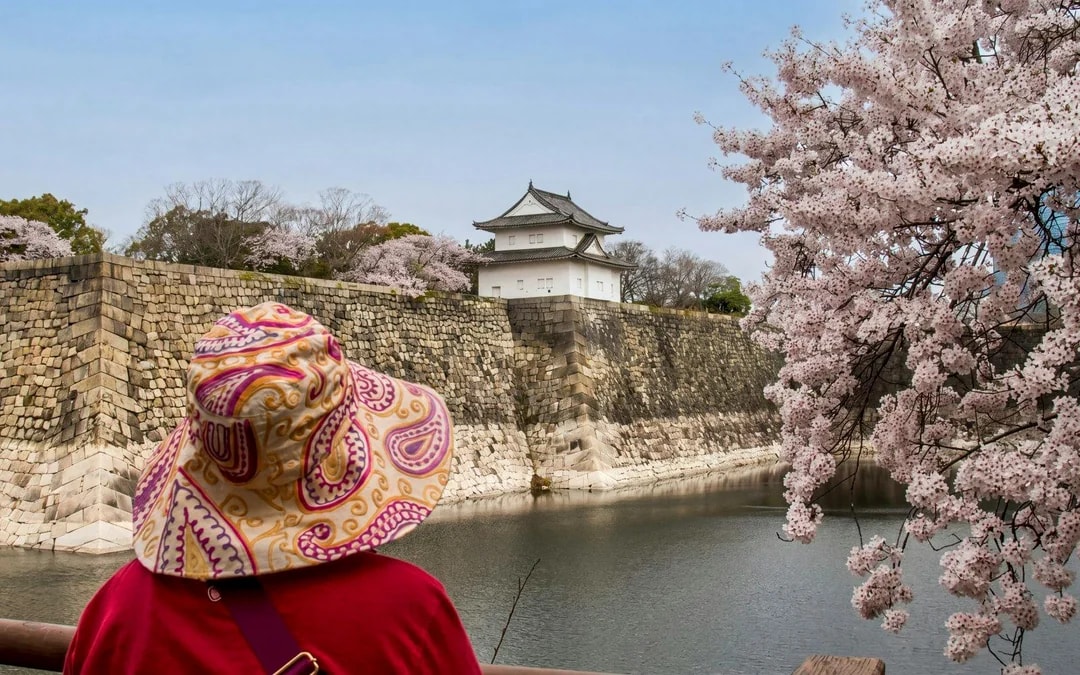 Osaka Castle 3 hours Historical Walking Tour Image 7