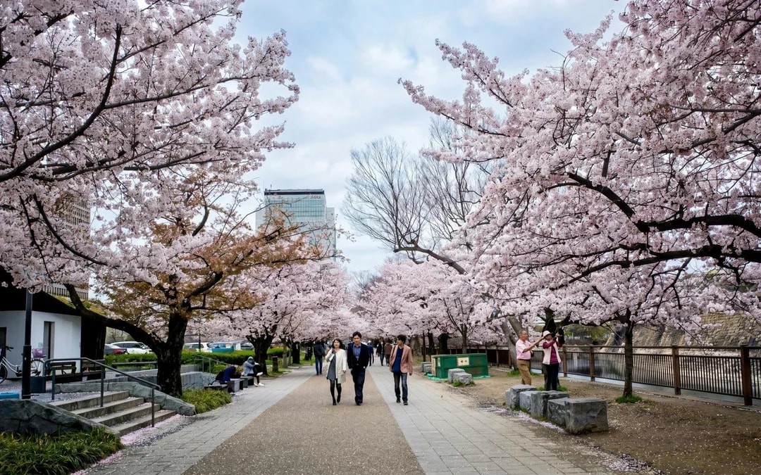 Osaka Castle 3 hours Historical Walking Tour Image 8