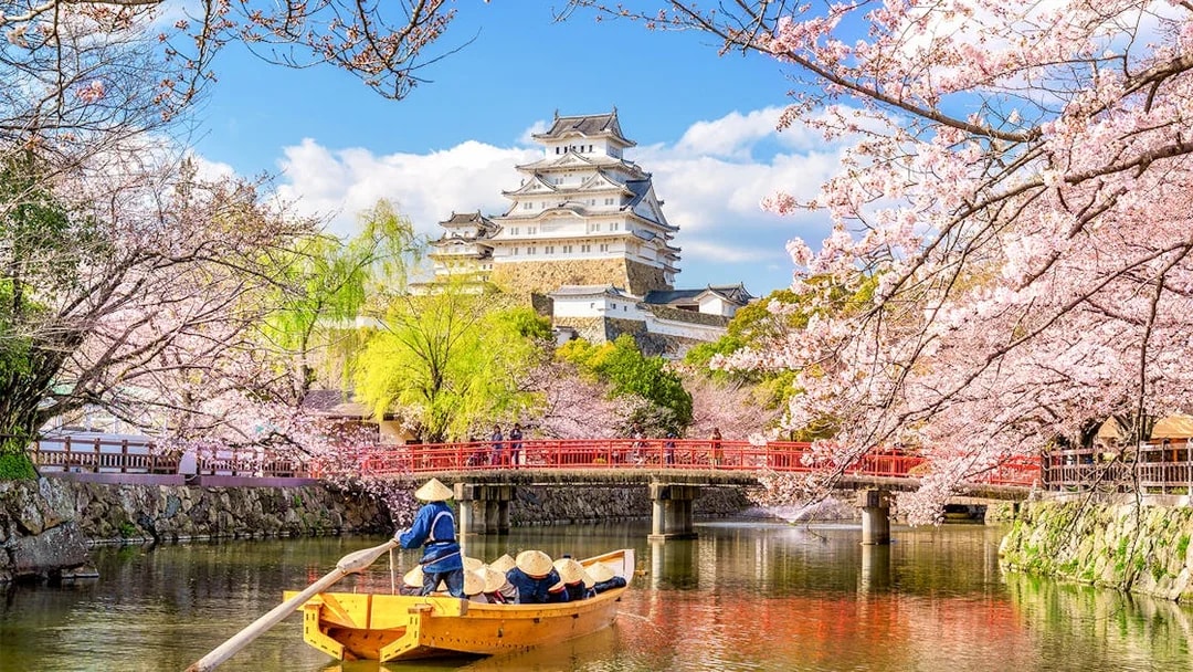 Osaka Castle with cherry blossoms and a boat on the moat, skip-the-line tickets available.