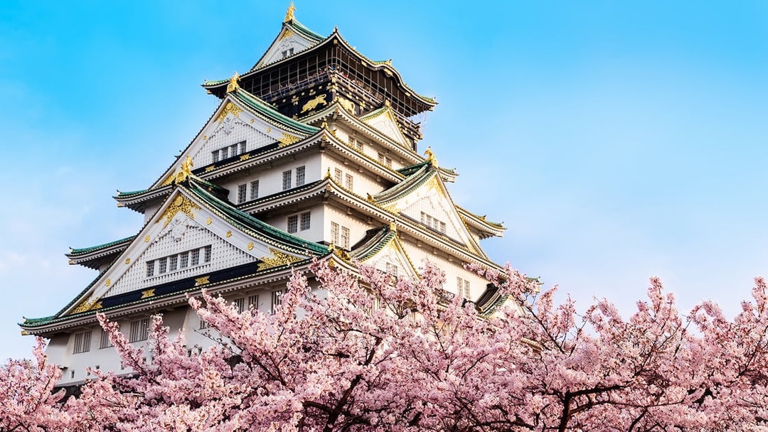 Osaka Castle with cherry blossoms in spring, Japan, viewed from park entrance.
