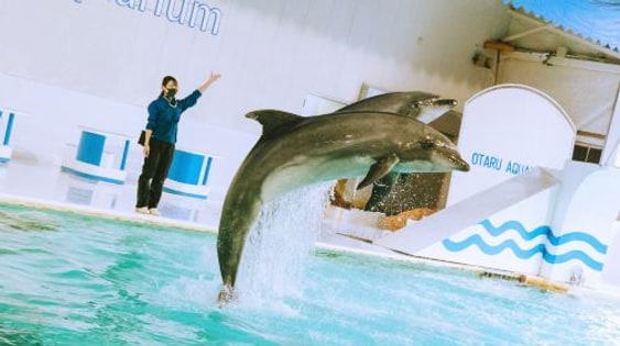 Otaru Aquarium