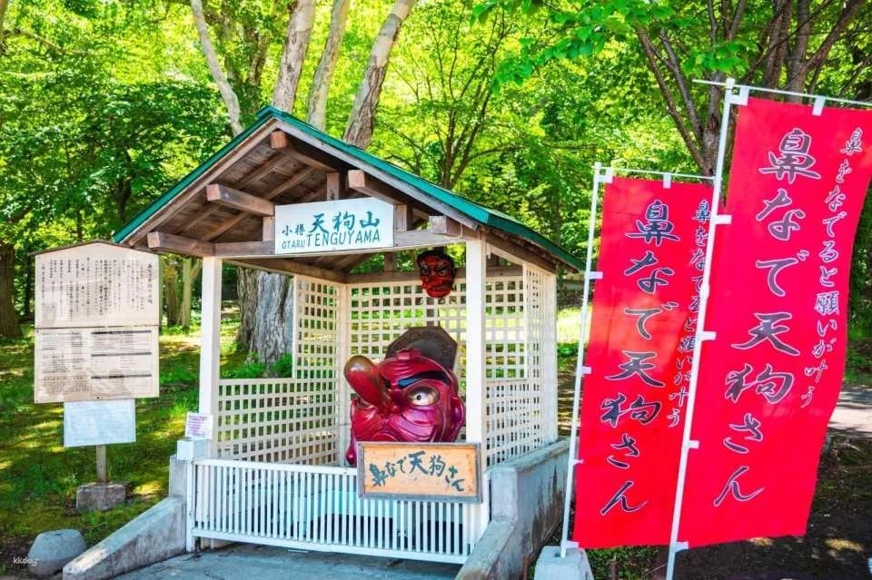 Otaru Tenguyama Ropeway Ticket | Instant Confirmation | Otaru