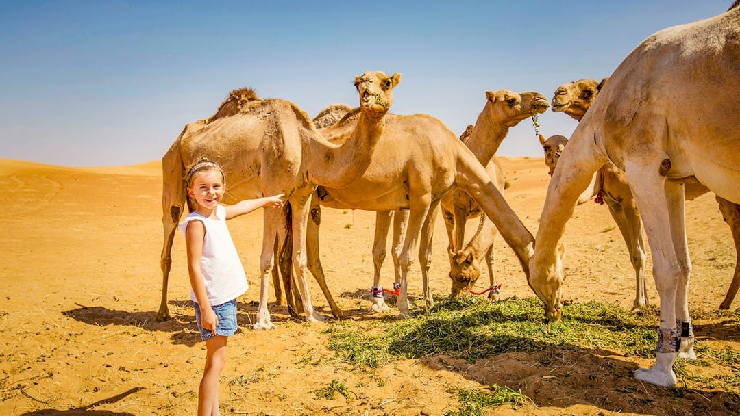 Child pointing at camels in the desert during an overnight Bedouin safari.