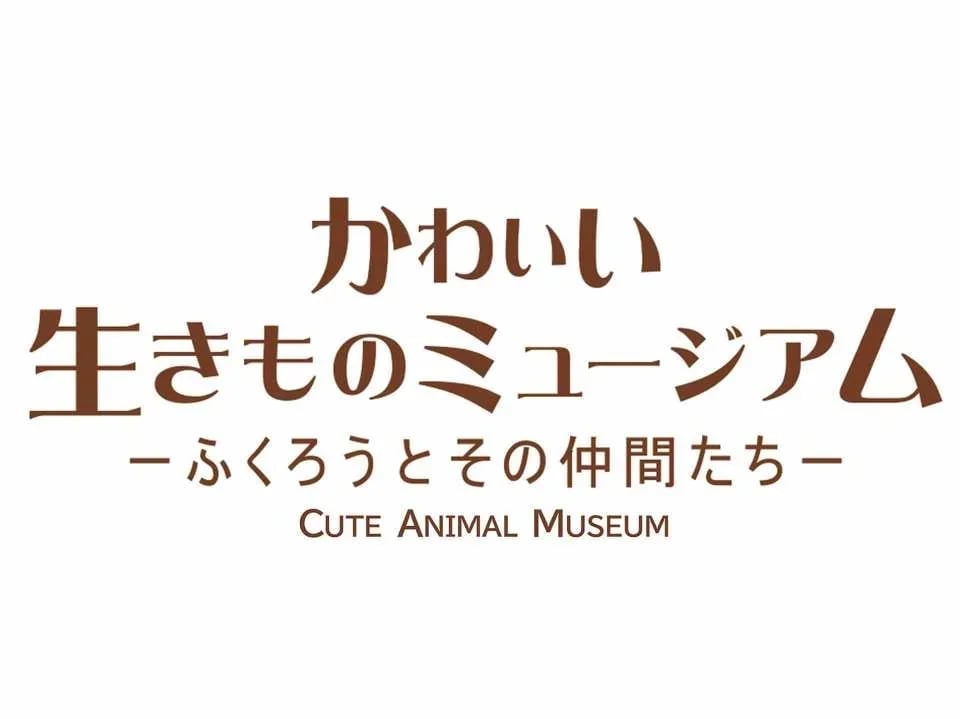 Owl Cafe Kamakura (Cute Creatures Museum) Admission Ticket (Kamakura City)