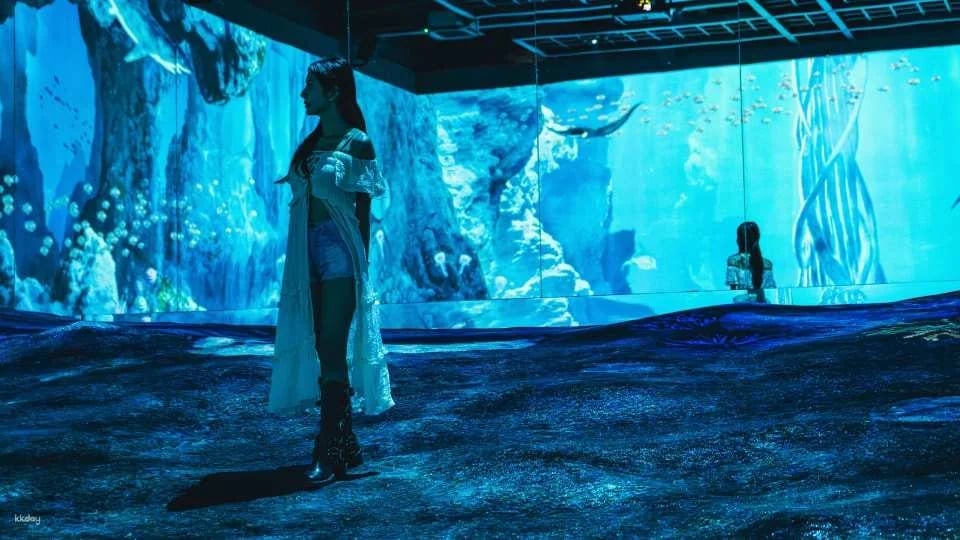 Pado Media Art Space Ticket in Pattaya | Thailand