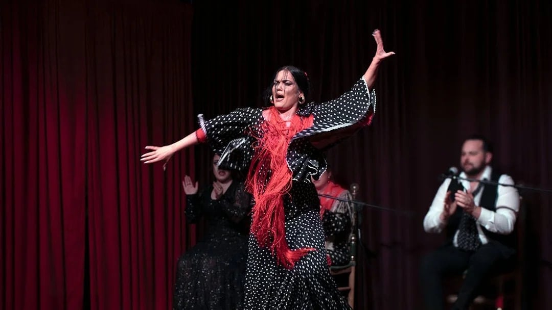 Flamenco dancer performing at Palau Dalmases in Barcelona.