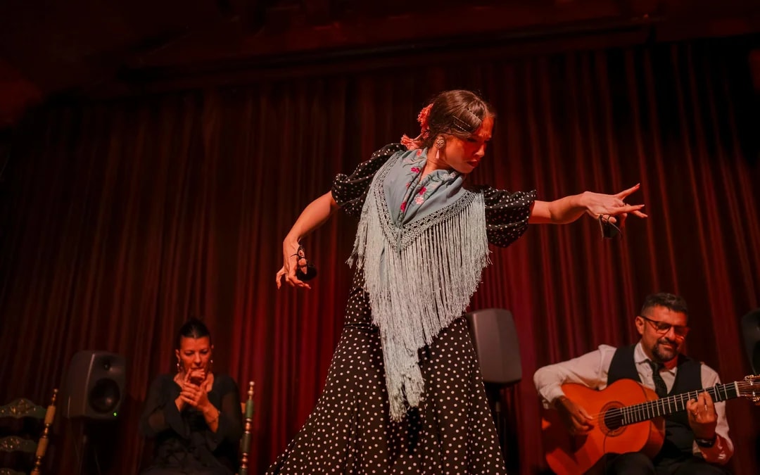 Palau Dalmases - Flamenco Show Image 8