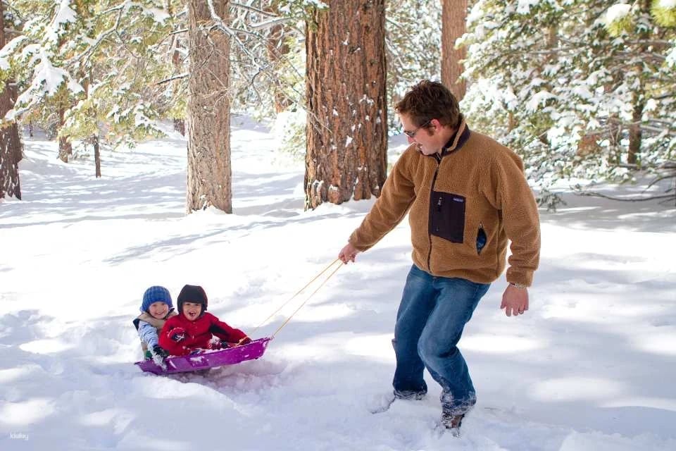 Palm Springs Aerial Tramway Ticket | California