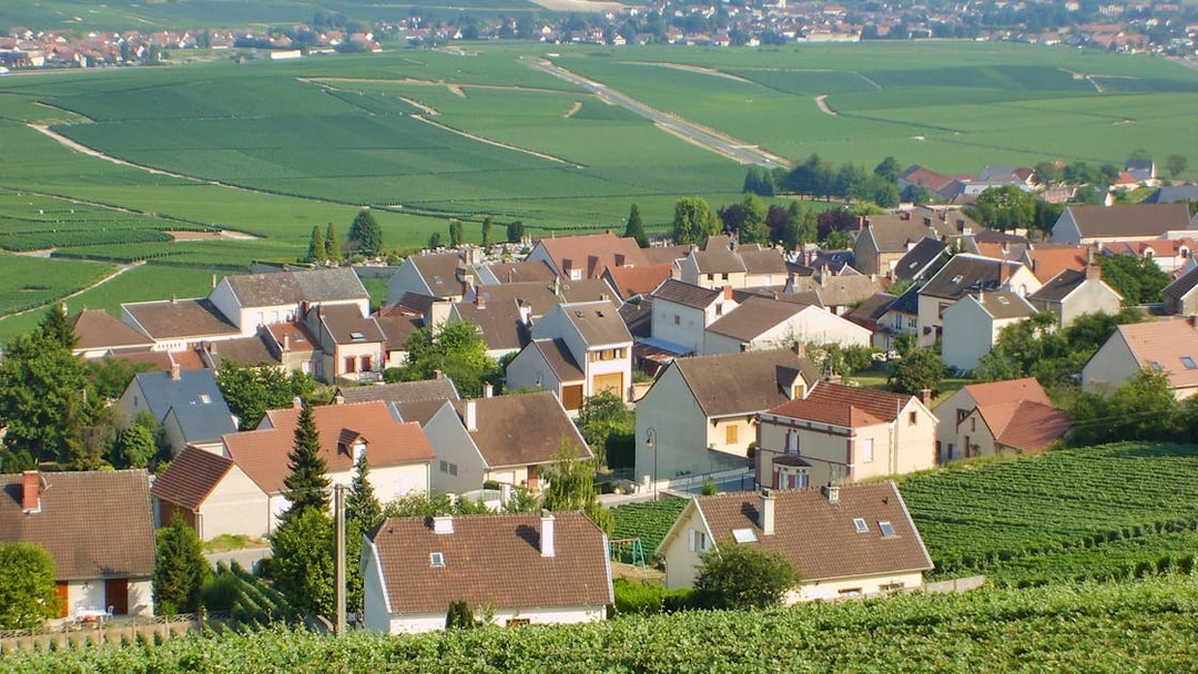 Vineyards and village in Hautvillers, Champagne region, France.