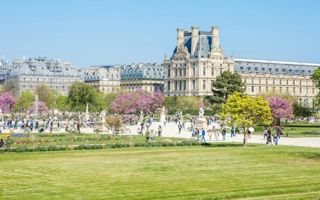 Paris in a Day: Louvre, Notre-Dame, Sainte-Chapelle & Conciergerie Image 6