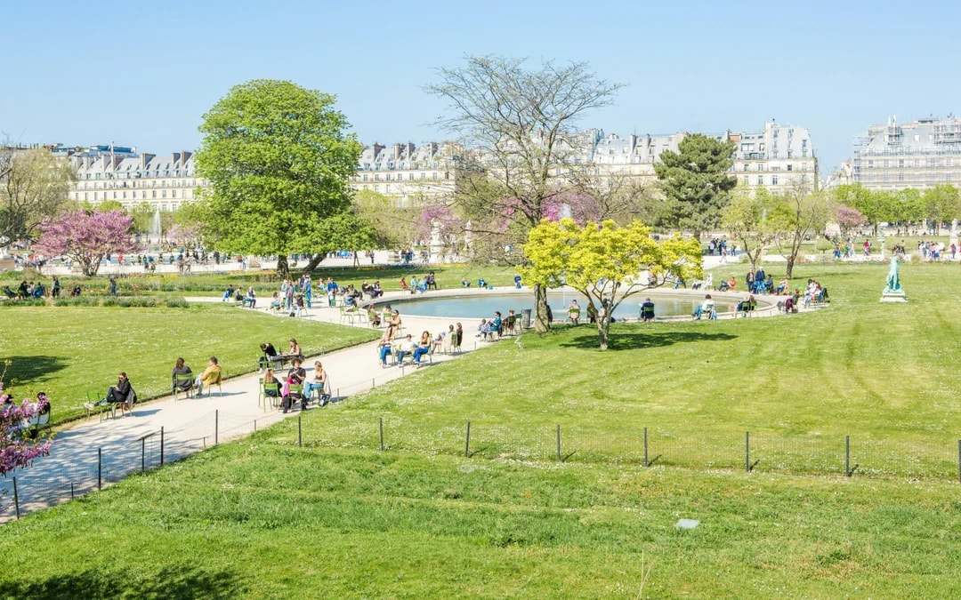 Paris in a Day: Louvre, Notre-Dame, Sainte-Chapelle & Conciergerie Image 7