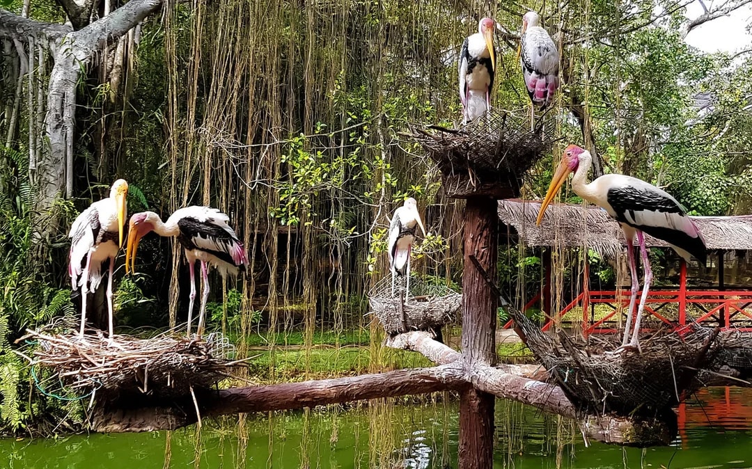 Penang Bird Park Ticket Image 1