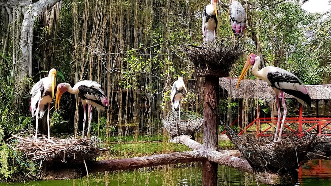 Penang Bird Park Ticket
