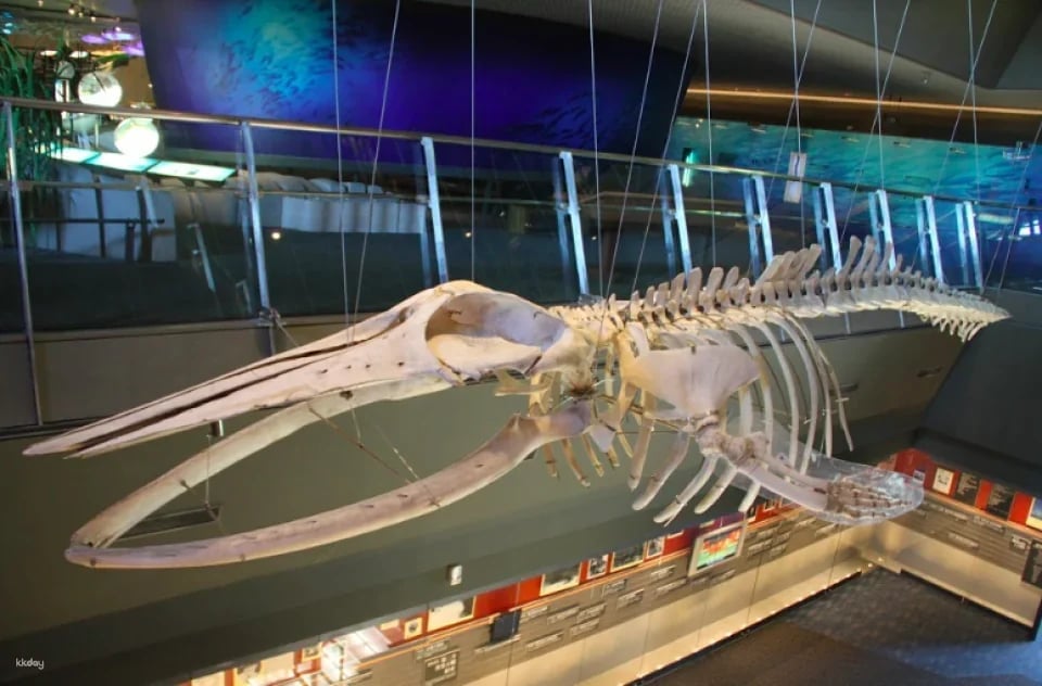 Tickets for permanent exhibitions at Lanyang Museum, Yilan