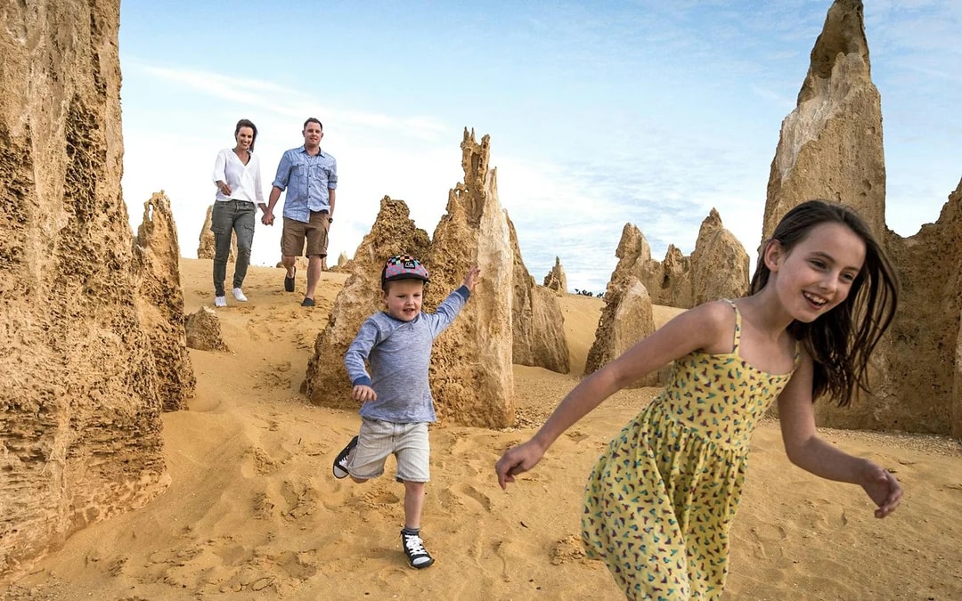 Pinnacles, Lobster Shack, & Lavender Farm Tour with Round-Trip Transfers Image 10