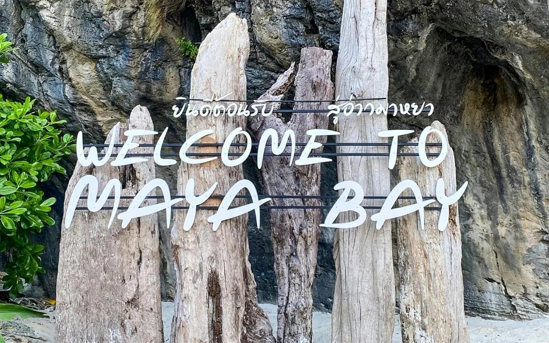 From Phi Phi: Maya Bay Custom Private Longtail Boat Tour with Snorkeling Image 6