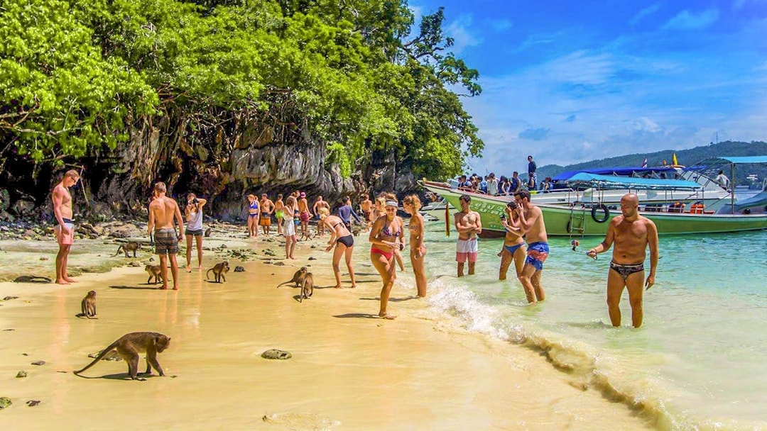 Tourists interacting with monkeys on the beach, Monkey Island, Phi Phi Islands, Thailand.