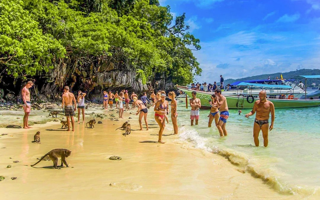 From Phi Phi: Maya Bay Longtail Boat Tour with Snorkeling Image 3