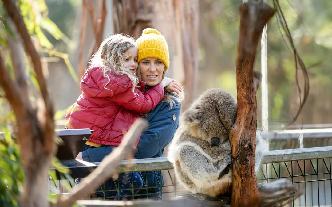 Phillip Island 3 Parks Pass: Penguin Parade, Koala Conservation Reserve & Churchill Island Image 3