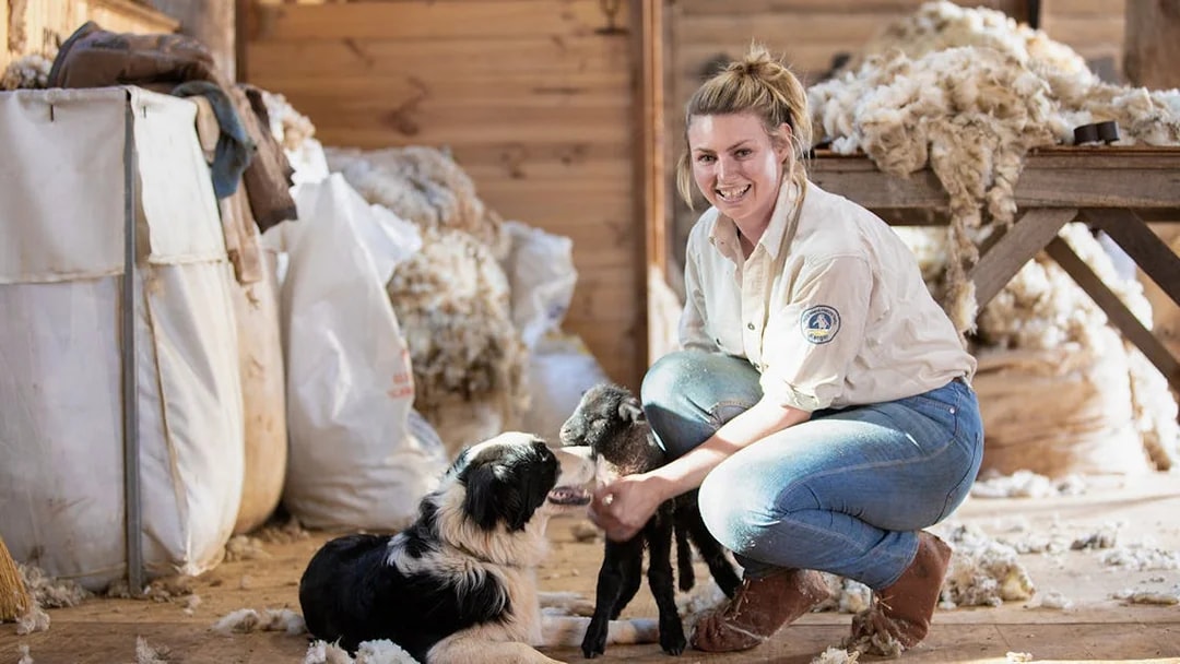 Ranger with sheepdog and lamb at Churchill Island farm.