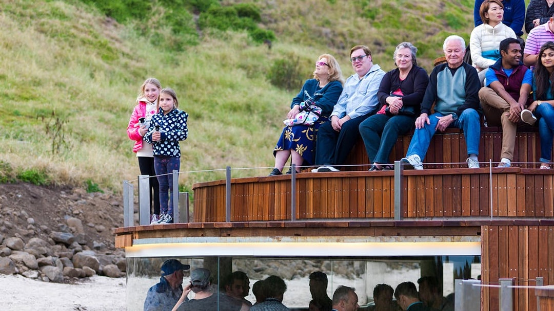 Visitors seated at Phillip Island Nature Parks viewing area for Penguin Parade.