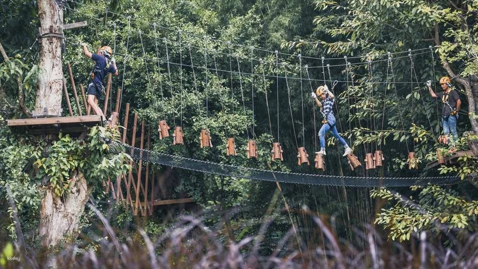 Phoenix Adventure Park Ticket in Chiang Mai | Thailand