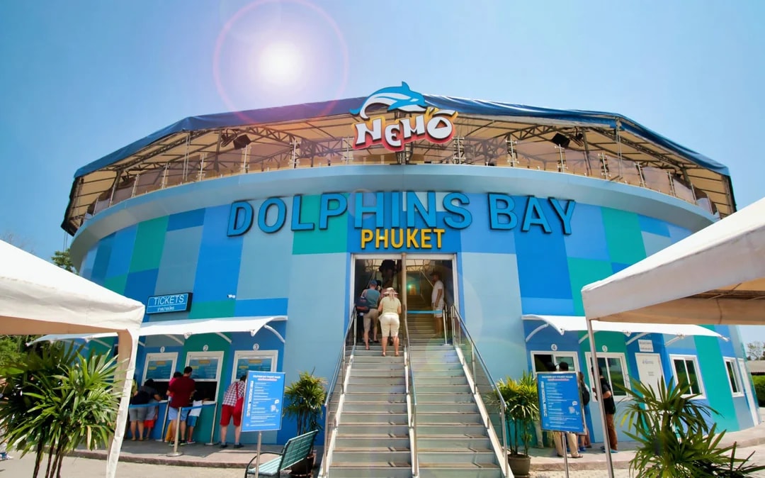 Phuket Dolphin Show Tickets: Foreigners Image 1
