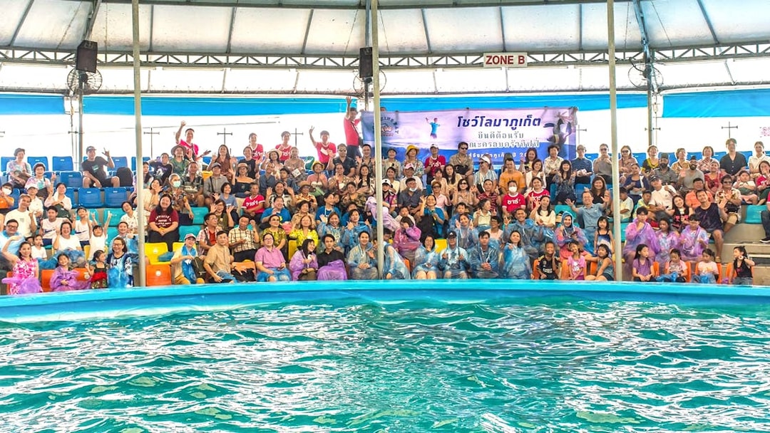Audience watching a dolphin show in Phuket stadium.
