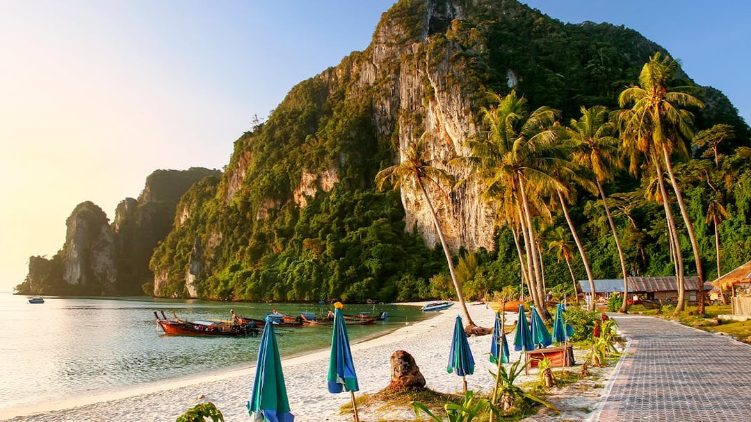 Phi Phi Island beach with boats and palm trees at sunrise.
