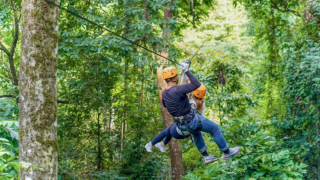 Two people ziplining through lush forest in Phuket.