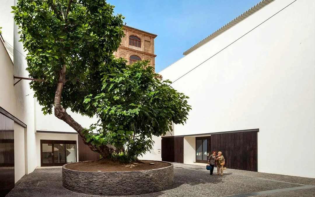 Picasso Museum Malaga Guided Tour Image 8