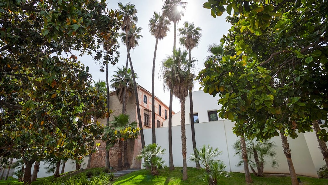 Picasso Museum Malaga gardens with palm trees and historic building.